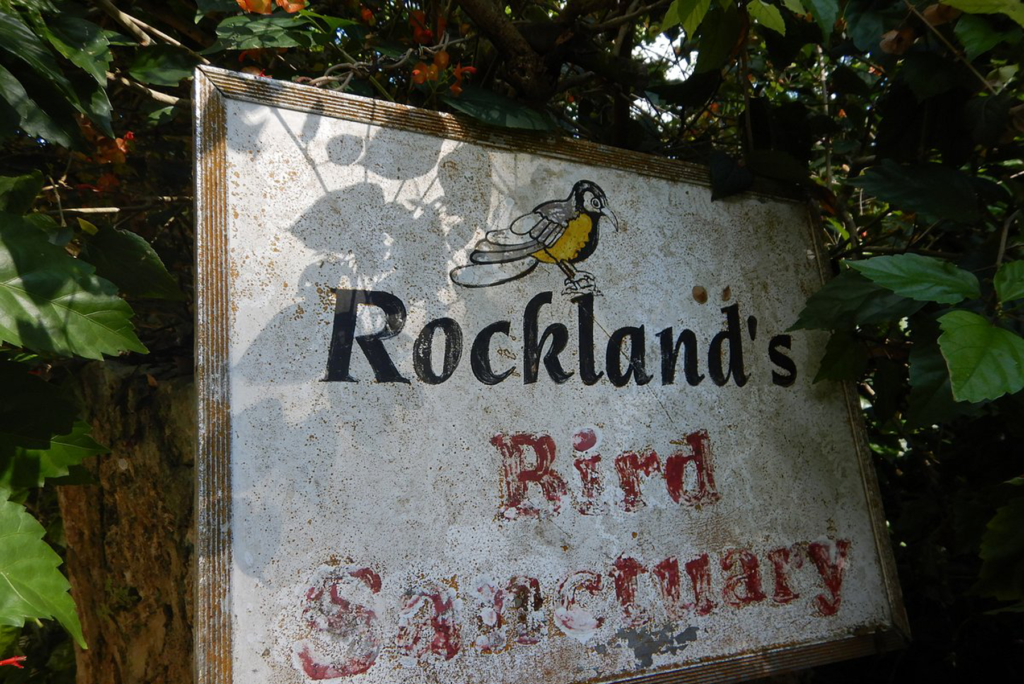 Rockland Bird Sanctuary - IMG-1
